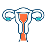 Endometrium and Implantation